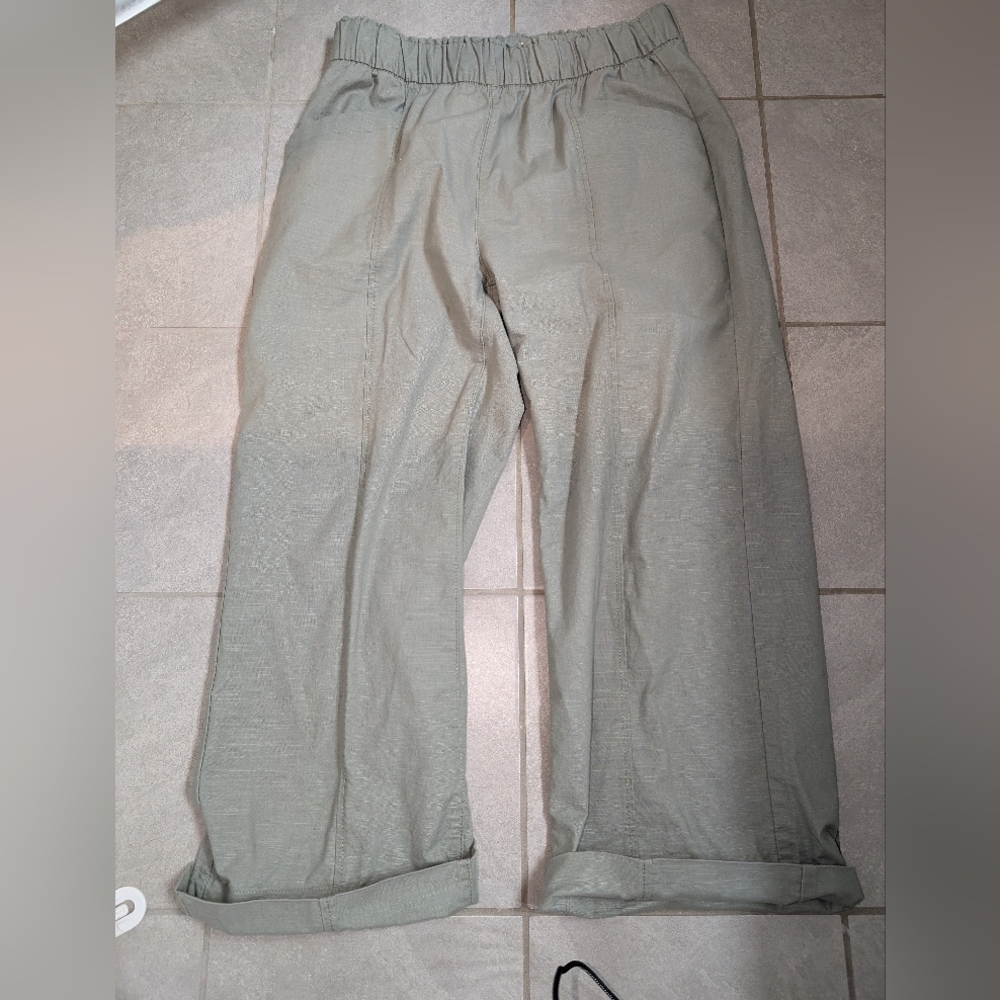 Signature by Levi Strauss Light Sage Elastic Waist Pants, XL